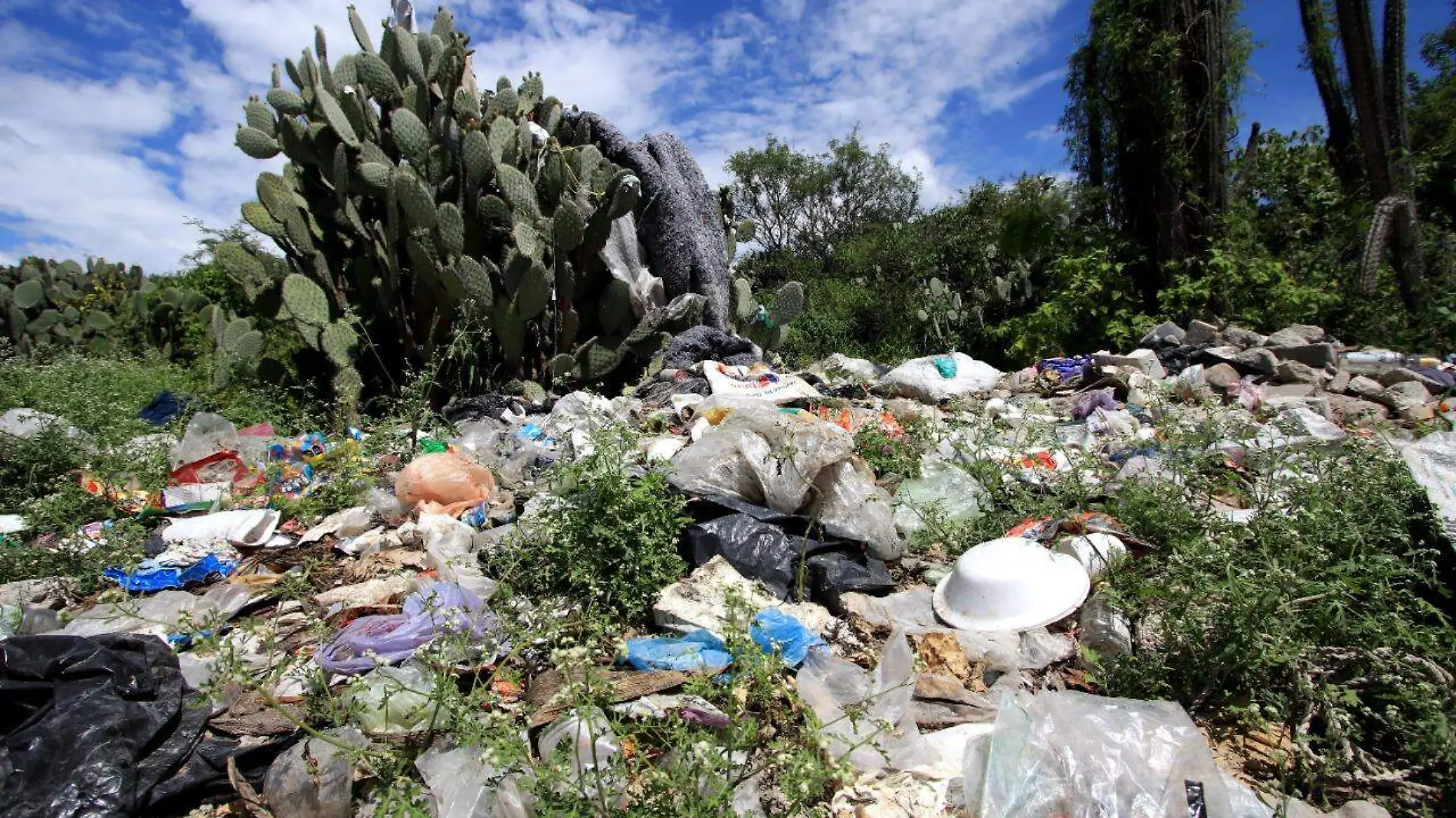 Basura Tehuacan 1